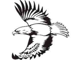  Eagle_ 1 3_ E F 1 Decal Proportional