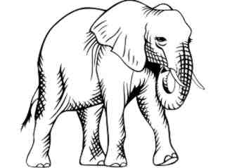  Elephant_ 1 4 5_ V A 1 Decal Proportional