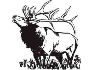  Elk 2 Decal Proportional