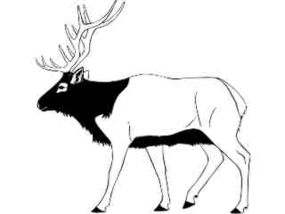  Elk_ 1 4 5_ V A 1 Decal Proportional