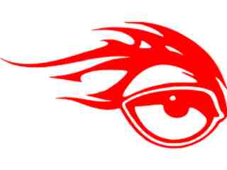  Eye Eagle Flame Decal Proportional