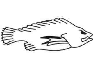  Fish_ 0 0 0 1 Decal Proportional