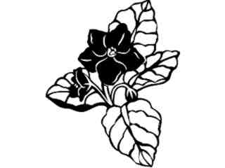  Flowers_ African Violet_ 1 5 5_ V A 1 Decal Proportional