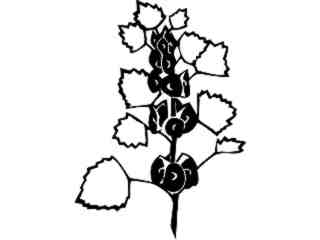  Flowers_ Bells Of Ireland_ 1 5 6_ V A 1 Decal Proportional