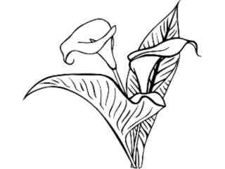  Flowers_ Calla Lily_ 1 5 9_ V A 1 Decal Proportional