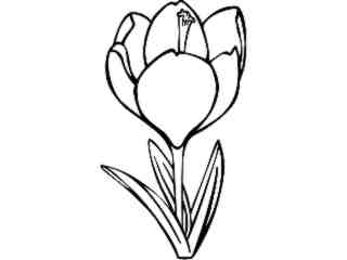  Flowers_ Crocus_ 1 5 9_ V A 1 Decal Proportional