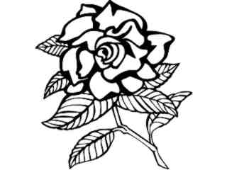  Flowers_ Gardenia_ 1 5 9_ V A 1 Decal Proportional