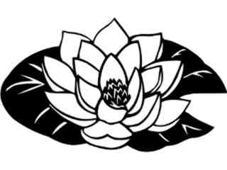 Flowers_ Lotus_ 1 5 5_ V A 1 Decal Proportional