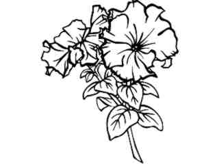  Flowers_ Petunias_ 1 5 9_ V A 1 Decal Proportional