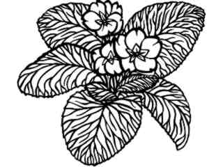  Flowers_ Primrose_ 1 5 9_ V A 1 Decal Proportional