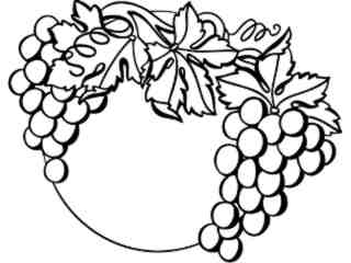  Food_ Grapes_ 1 6 3_ V A 1 Decal Proportional