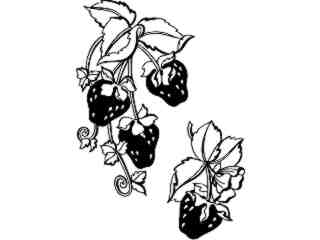  Food_ Strawberries_ 1 6 3_ V A 1 Decal Proportional