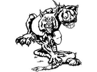  Football Wildcat_ M B 1_ D T L Decal Proportional