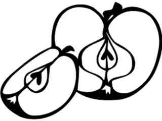  Fruits Vegtables_ Apple_ 1 6 1_ V A 1 Decal Proportional