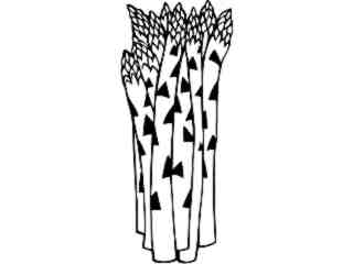  Fruits Vegtables_ Asparagus_ 1 6 0_ V A 1 Decal Proportional