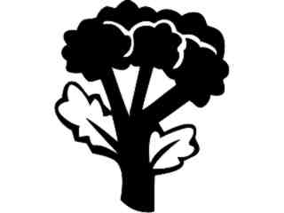  Fruits Vegtables_ Brocolli_ 1 6 2_ V A 1 Decal Proportional