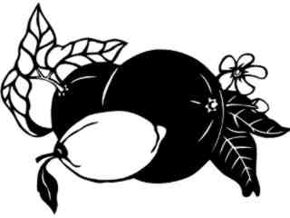  Fruits Vegtables_ Citrus_ 1 6 0_ V A 1 Decal Proportional