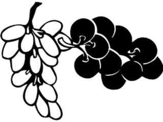  Fruits Vegtables_ Grapes_ 1 6 0_ V A 1 Decal Proportional