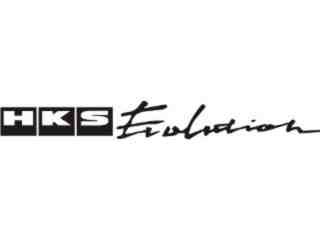  H K Sevolution Decal Proportional