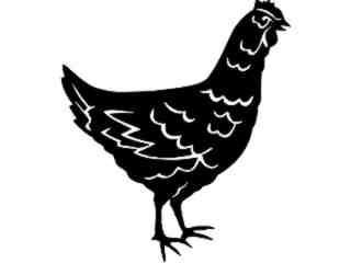  Hen Chicken_ 1 3 9_ V A 1 Decal Proportional