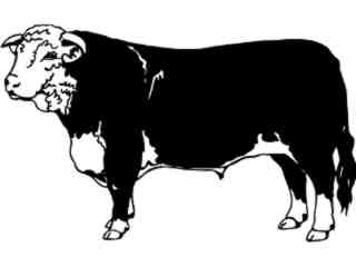  Hereford Bull_ 1 3 4_ V A 1 Decal Proportional