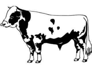  Holstein Friesian_ 1 3 4_ V A 1 Decal Proportional