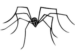  Insects_ Long Legs Spider_ 1 4 4_ V A 1 Decal Proportional