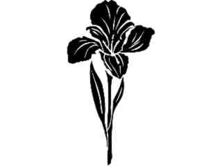 Iris_ 1 5 4_ V A 1 Decal Proportional