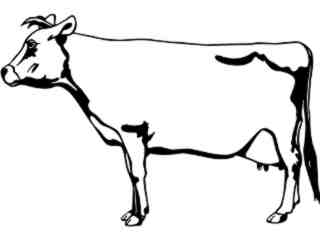  Jersey Cow_ 1 3 4_ V A 1 Decal Proportional