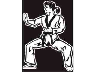  Karate Girl_ I N V Decal Proportional