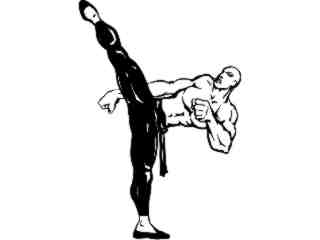  Karate Kick_ M B 1 Decal Proportional