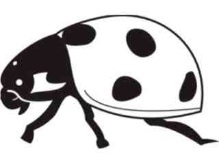  Lady Bug_ 0 8 0 Decal Proportional