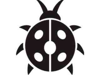  Lady Bug_ 0 8 1 Decal Proportional