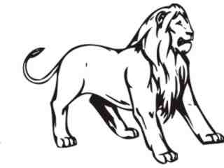  Lion Animal Wild_ 0 0 4a Decal Proportional
