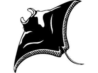  Manta Ray_ 1 4 0_ V A 1 Decal Proportional