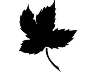  Maple Leaf_ 1 5 4_ V A 1 Decal Proportional