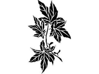  Maple Leaves_ 1 5 4_ V A 1 Decal Proportional