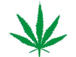  Mary Jane Weed Decal Proportional