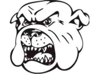  Mascots_ Bulldog_ 0 2 5_ X C C Decal Proportional