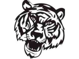  Mascots_ Tiger_ 0 0 5_ X C C Decal Proportional