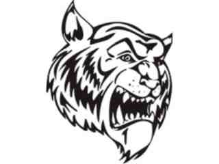 Mascots_ Tiger_ 0 0 6_ X C C Decal Proportional