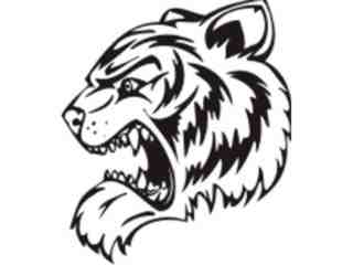  Mascots_ Tiger_ 0 0 7_ X C C Decal Proportional