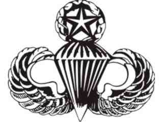  Military Special Force 3 Decal Proportional