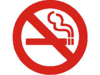  No Smoking 1 Decal Proportional