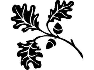  Oak Twig_ 1 5 4_ V A 1 Decal Proportional