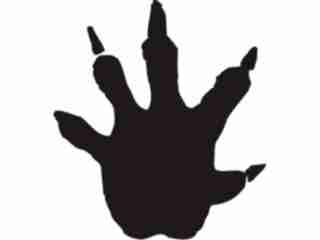  Paw Prints_ 0 6 Decal Proportional