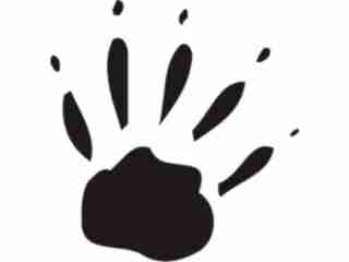  Paw Prints_ 3 7 Decal Proportional