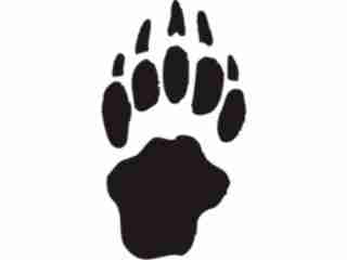  Paw Prints_ 4 5 Decal Proportional