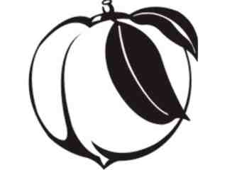 Peach Decal Proportional