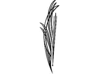  Pinstriping Designs_ 2 6 8_ 1 1 5_ V A 1 Decal Proportional